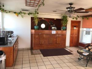 a kitchen with wooden cabinets and potted plants on the wall at Dogwood Park Inn in Springfield