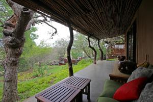 a porch with a bench next to a tree at Naledi Lodges in Balule Game Reserve