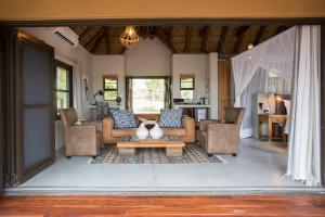 a living room with couches and a cat sitting on a coffee table at Naledi Lodges in Balule Game Reserve