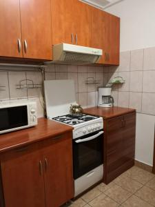 a kitchen with a stove and a microwave at Center Park Apartment in Cluj-Napoca