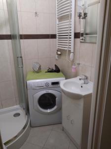 baño pequeño con lavadora y lavamanos en AP Na Groblach, en Cracovia