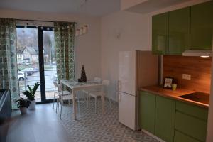 Kuchyňa alebo kuchynka v ubytovaní Zielone Apartamenty