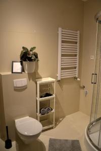 Kylpyhuone majoituspaikassa Zielone Apartamenty