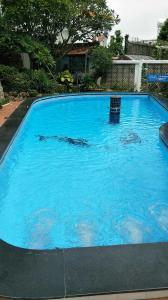 Kolam renang di atau dekat dengan Nancy Vung Tau Plaza B805
