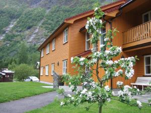 a building with a tree in front of it at Flåm Hostel in Flåm