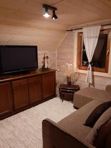 ein Wohnzimmer mit einem Sofa und einem Flachbild-TV in der Unterkunft Domki z jacuzzi Pasja I in Mizerna