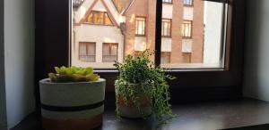 Fotografia z galérie ubytovania Oficyna Form - Apartament Dwupoziomowy v destinácii Elblag
