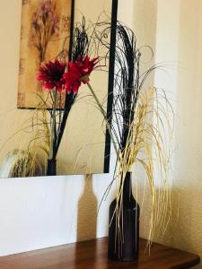 Zdjęcie z galerii obiektu Bungalow Torrevieja Argonautas w mieście Torrevieja