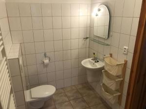 a bathroom with a toilet and a sink and a mirror at Pension Abbazia in Františkovy Lázně