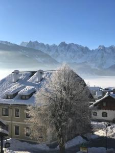 a snow covered roof of a building with a tree at Der Ulmenhof in Gosau