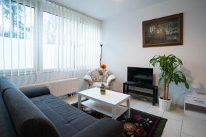 a living room with a couch and a tv at Düsseldorf Comfort Apartment in Düsseldorf