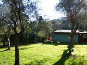 un cortile alberato e una casa sullo sfondo di Lo Chalet tra gli ulivi a Santa Margherita Ligure