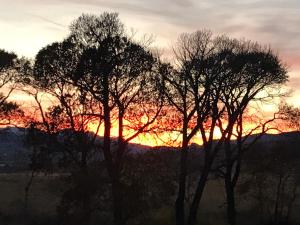 a sunset with two trees in the foreground at Eycat Lodging Company in Wapiti