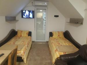 two beds in a room with a tv on the wall at Apartman Darija in Vrdnik