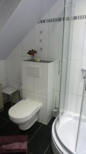 a white bathroom with a toilet and a shower at Haus Hannelore in Willingen