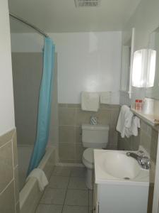 Een badkamer bij Budget Inn Watkins Glen