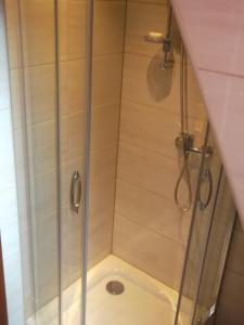 a shower with a glass door in a bathroom at Apartamenty Lejówka in Chochołów