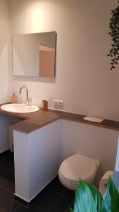 La salle de bains est pourvue d'un lavabo, de toilettes et d'un miroir. dans l'établissement Ruhige Ferienwohnung direkt am Nord-Ostsee-Kanal, à Breiholz