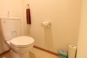 a bathroom with a toilet and a roll of toilet paper at Minoshima Apartment 406 in Fukuoka +24 photos