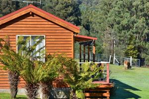 Gallery image of Maydena Mountain Cabins in Maydena