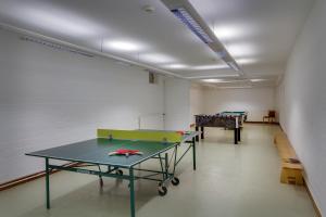 Stolní tenis v ubytování Panorama Hotel Winterberg nebo okolí