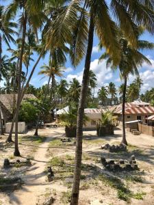 a group of palm trees on a beach at Amka House in Jambiani