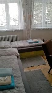 um quarto com 2 camas e uma janela em Penzion Villa Gerlach em Nový Smokovec