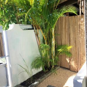 Gallery image of Holiday Surf Lodge in Tamarin