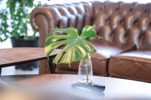 Posezení v ubytování Hotel Ikast