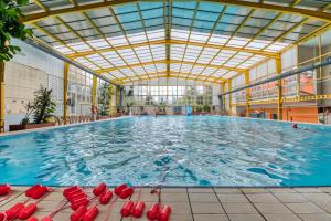 בריכת השחייה שנמצאת ב-Hotel Gracja או באזור