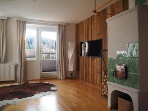 een woonkamer met een open haard en een televisie bij Der grimmige Berg in Sankt Martin am Grimming