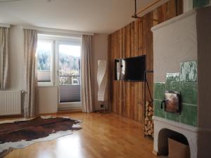 a living room with a fireplace and a television at Der grimmige Berg in Sankt Martin am Grimming