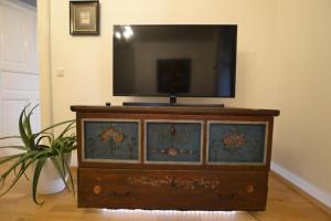 TV a/nebo společenská místnost v ubytování Apartment Graz-Ulrichsbrunn, free parking