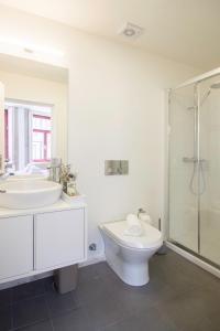 La salle de bains est pourvue de toilettes, d'un lavabo et d'une douche. dans l'établissement Oporto Sweet Home III, à Porto