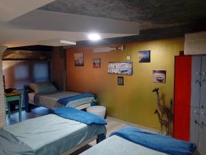 سرير أو أسرّة في غرفة في NapPARK Hostel