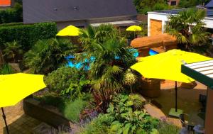 Zahrada ubytování B&B wellness Sea Nat voor Naturisten