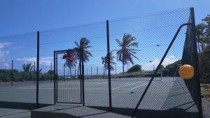 Tenis a/nebo squash v ubytování Studio Ti Dô Geo - Anse des Rochers à St François - Guadeloupe nebo okolí