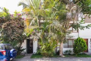 una palmera frente a un edificio en Rooms in House on the Boardwalk of Barranco, en Lima