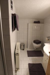 a small bathroom with a toilet and a sink at Ferienwohnung Claudia in Fügenberg