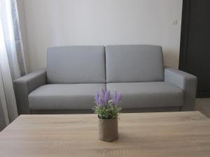 a couch and a vase with purple flowers on a table at Blue Yard Apartments in Kalamata
