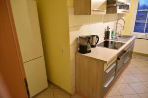 una cucina con lavello e fornello forno superiore di Ferienwohnung an der alten Schunter a Süpplingenburg