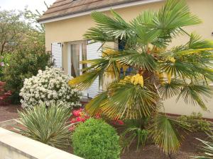 uma palmeira em frente a uma casa com flores em Chambres d'hôtes Sébastien em Ruaudin