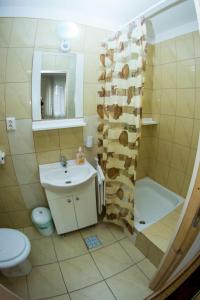 Koupelna v ubytování casa elysse