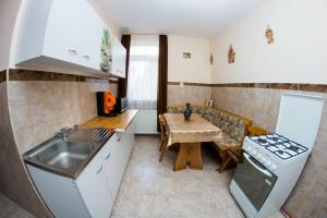 O bucătărie sau chicinetă la casa elysse
