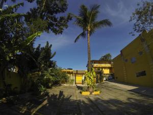 una palmera en medio de un patio en Casa do Monge Apartments, en Ilhabela