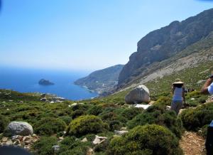 a woman standing on a hill looking at the ocean at Vigla Hotel in Aegiali
