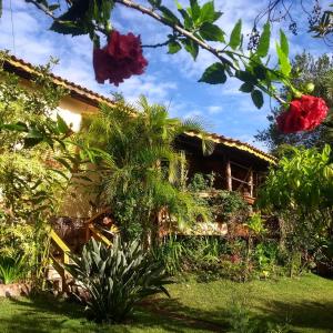 une maison au milieu d'un jardin dans l'établissement Jardim das orquídeas, à Mucugê