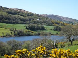 a lake in the middle of a field with trees at Drombrow Cottage in Bantry