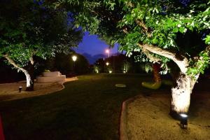 um parque à noite com uma árvore e um parque infantil em Casas da Maria - sea & countryside - Sintra em Sintra