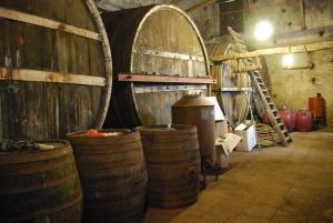 Fotografia z galérie ubytovania Etna Wine Azienda Agrituristica v destinácii Passopisciaro